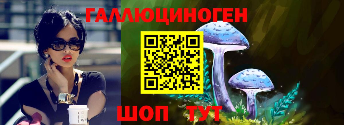 Петропавловск-Камчатский  Псилоцибиновые грибы Magic Shrooms  Вход с VPN 